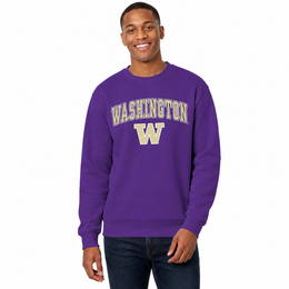 Washington Huskies Adult Arch & Logo Soft Style Gameday Crewneck Sweatshirt - Purple