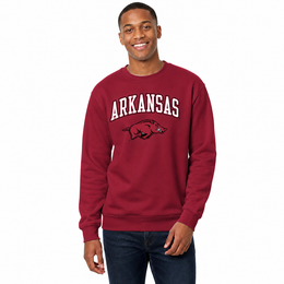 Arkansas Razorbacks Adult Arch & Logo Soft Style Gameday Crewneck Sweatshirt - Cardinal