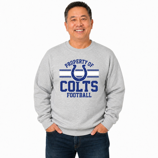 Indianapolis Colts NFL Property Of Crewneck Sweatshirt - Sport Gray