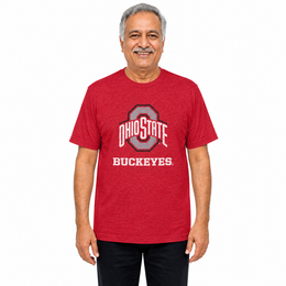 Ohio State Buckeyes Heathered Logo T-Shirt - Red