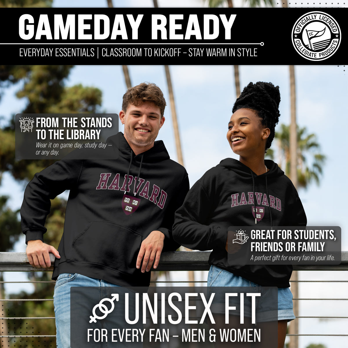 HARV Arch & Logo Gameday Hoodie - Black