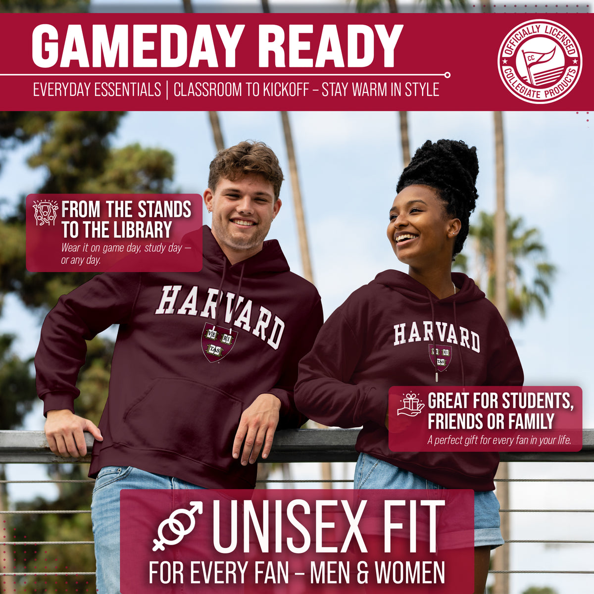 HARV Arch & Logo Gameday Hoodie - Maroon