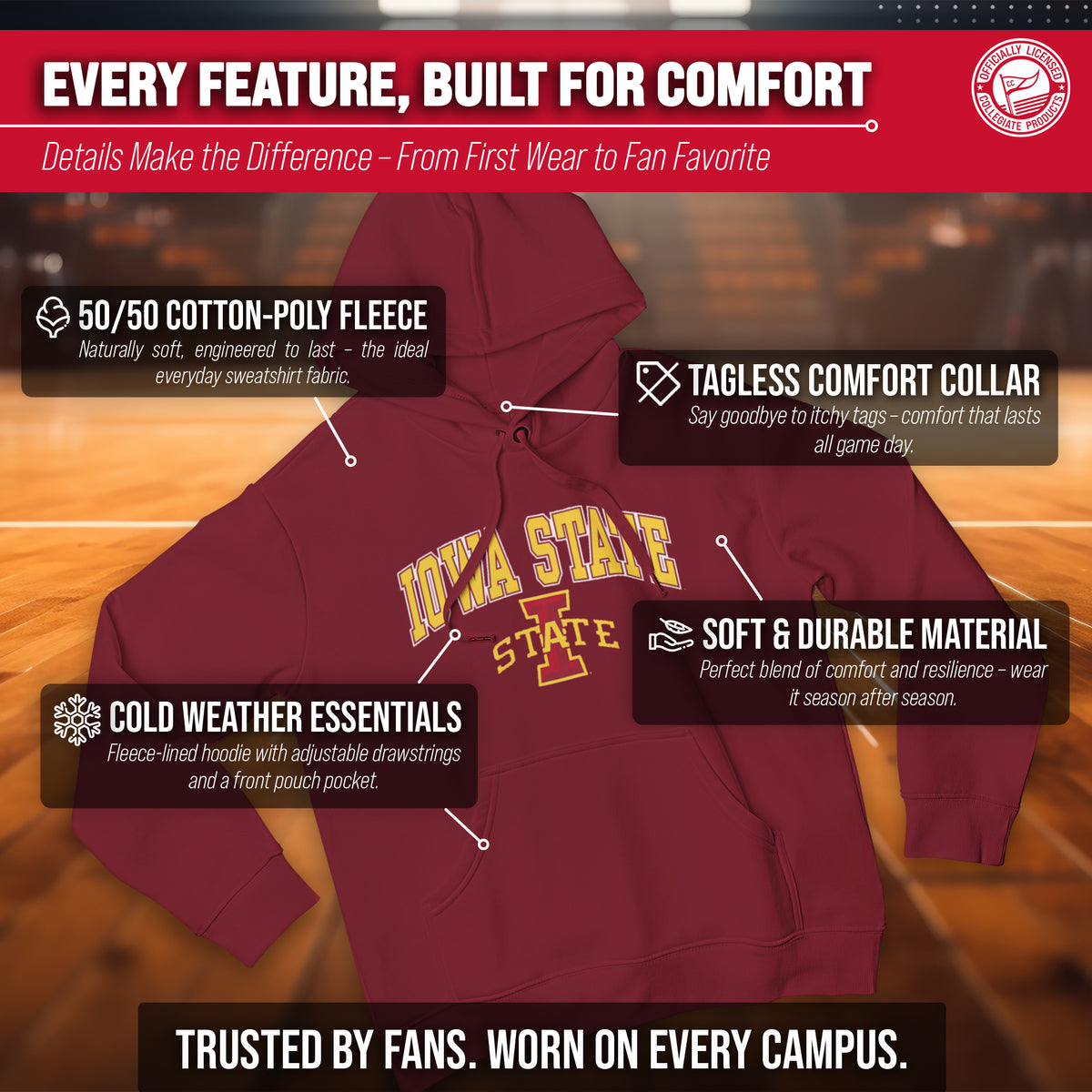 IAST Arch & Logo Gameday Hoodie - Cardinal