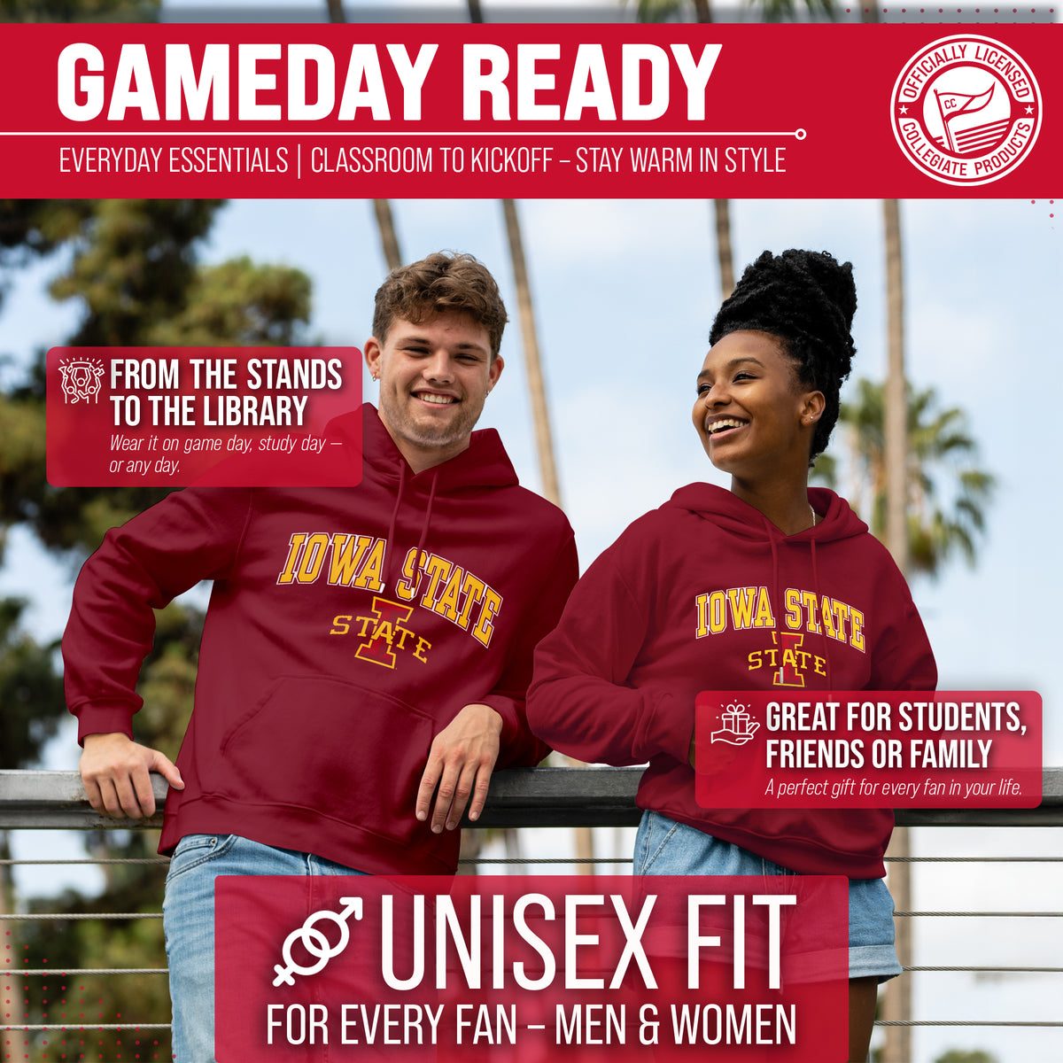 IAST Arch & Logo Gameday Hoodie - Cardinal