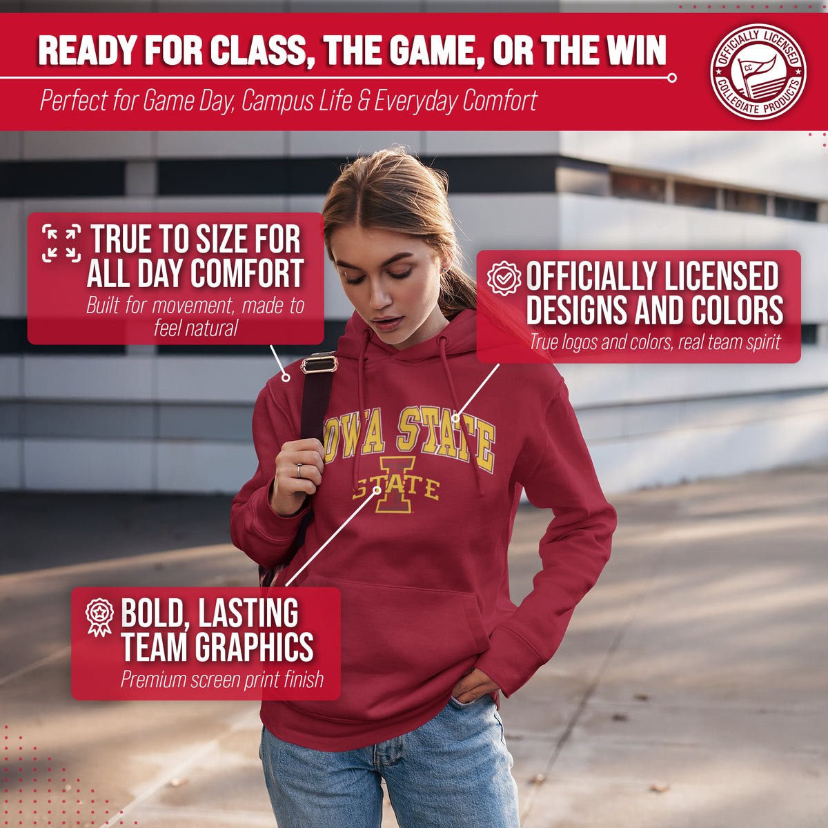 IAST Arch & Logo Gameday Hoodie - Cardinal