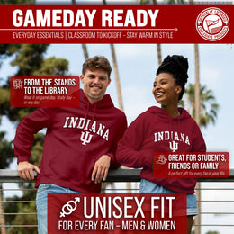 IND Arch & Logo Gameday Hoodie - Crimson