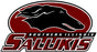 Southern Illinois Salukis