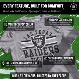 Las Vegas Raiders NFL Adult Short Sleeve Team Stripe Tee - Sport Gray