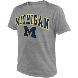 Michigan Wolverines NCAA Adult Gameday Cotton T-Shirt - Gray