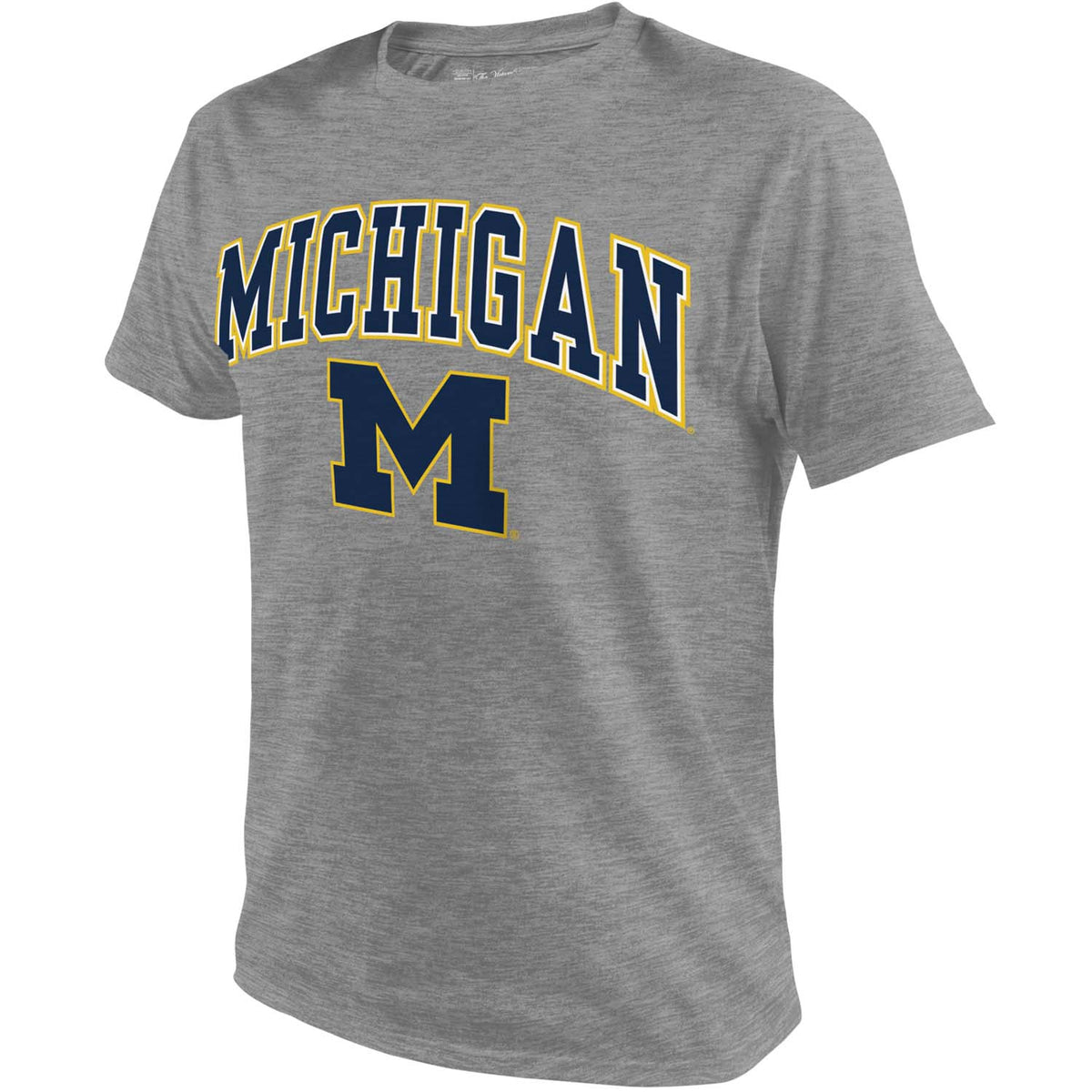 Michigan Wolverines NCAA Adult Gameday Cotton T-Shirt - Gray