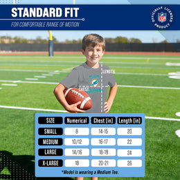 Miami Dolphins NFL Youth Gameday Football T-Shirt - Gray