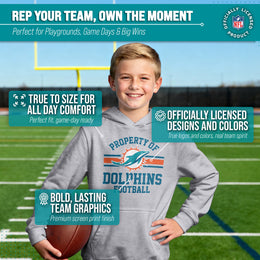 Miami Dolphins NFL Youth Property Of Hooded Sweatshirt - Sport Gray