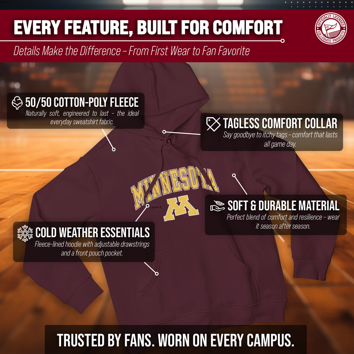 MINN Arch & Logo Gameday Hoodie - Maroon