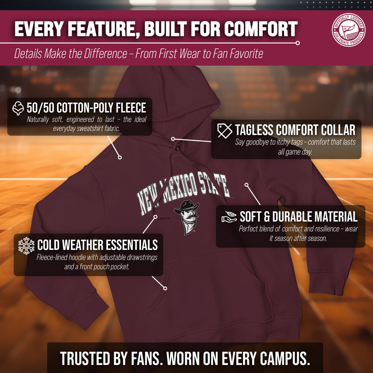 NMST Arch & Logo Gameday Hoodie - Maroon