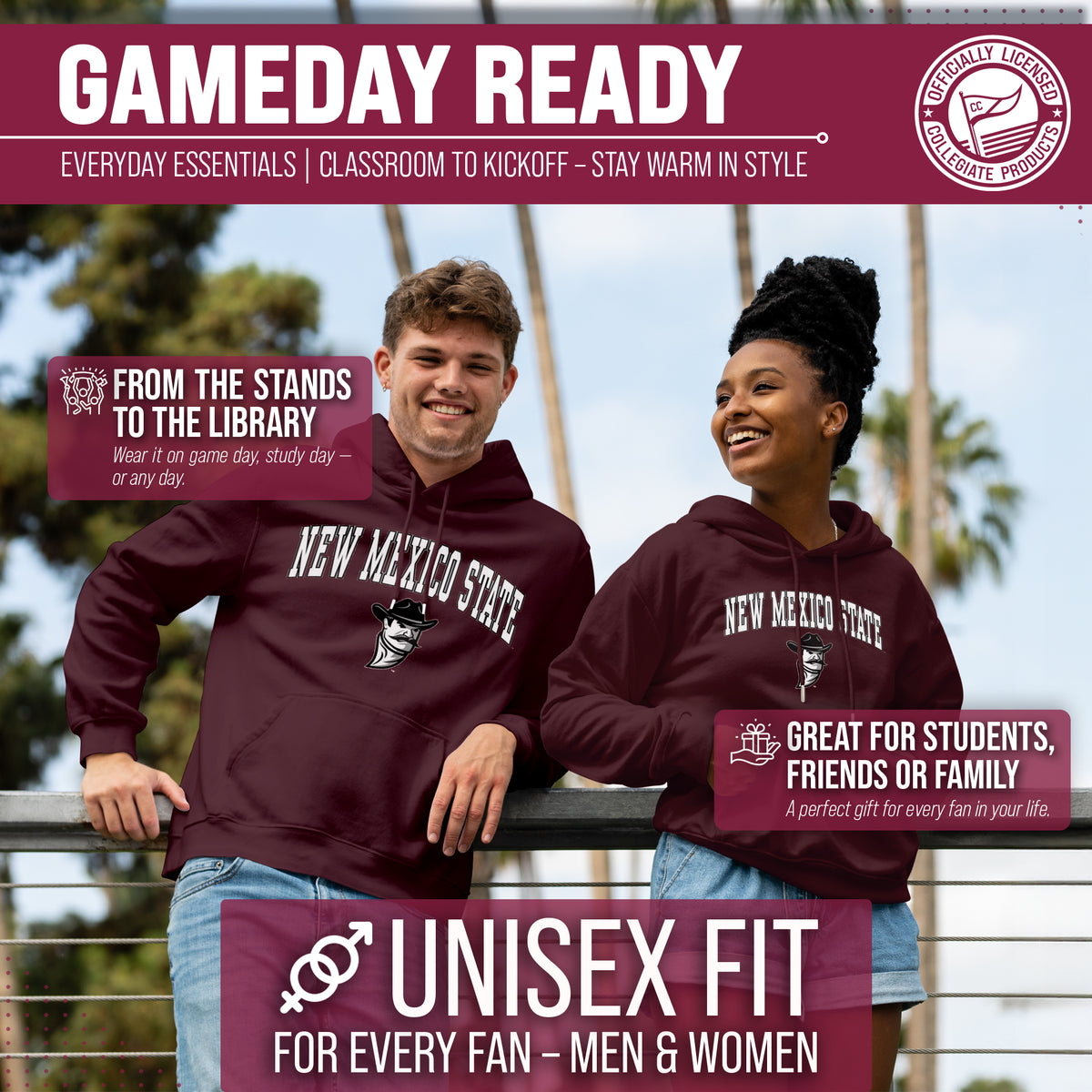 NMST Arch & Logo Gameday Hoodie - Maroon