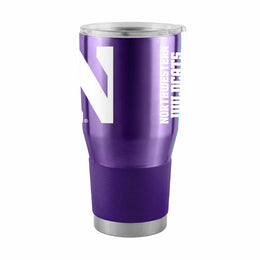 Northwestern Wildcats NCAA University 30oz Stainless Steel Vacuum Insulated Game Day Tumbler with Silicone Grip - Purple