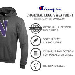 Northwestern Wildcats Adult Mascot Fleece Hooded Sweatshirt - Charcoal