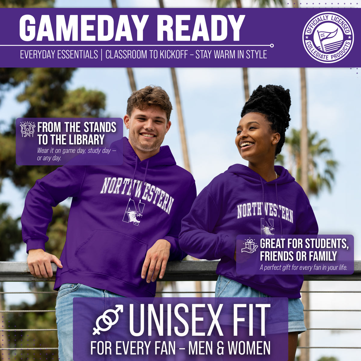 NWN Arch & Logo Gameday Hoodie - Purple