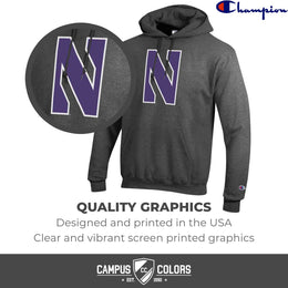 Northwestern Wildcats Adult Mascot Fleece Hooded Sweatshirt - Charcoal