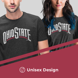 Ohio State Buckeyes Campus Colors NCAA Adult Cotton Blend Charcoal Tagless T-Shirt - Charcoal