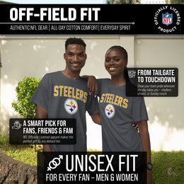 Pittsburgh Steelers NFL Home Team Tee - Gray