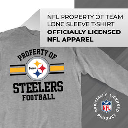 Pittsburgh Steelers NFL Adult Property Of Long SleeveT Shirt - Sport Gray