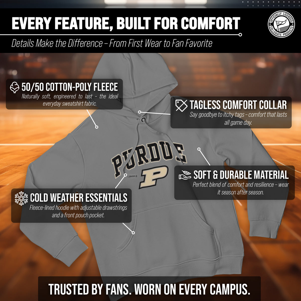 PUR Arch & Logo Gameday Hoodie - Gray