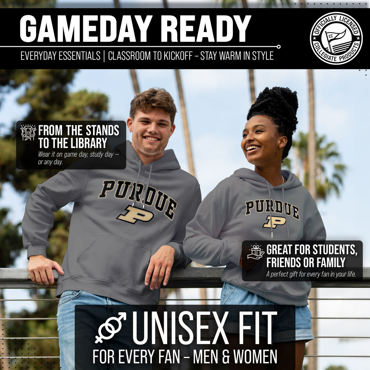 PUR Arch & Logo Gameday Hoodie - Gray