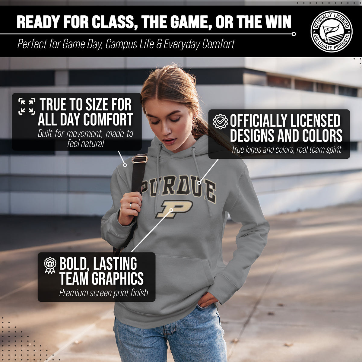 PUR Arch & Logo Gameday Hoodie - Gray