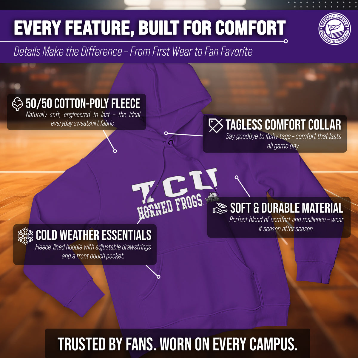 TCU Arch & Logo Gameday Hoodie - Purple