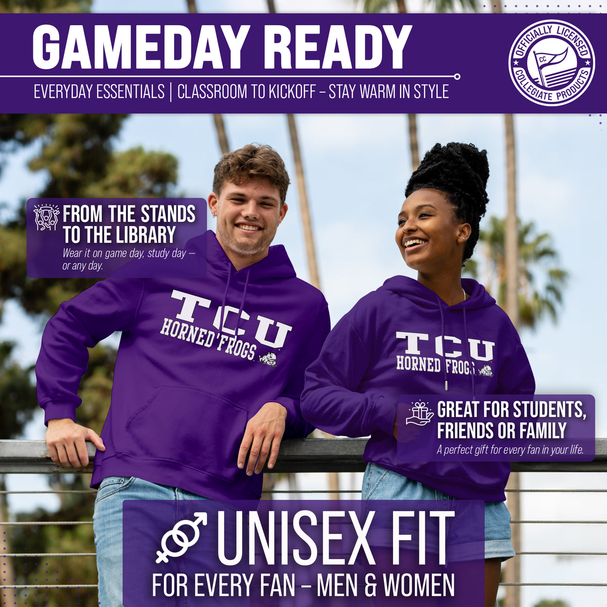 TCU Arch & Logo Gameday Hoodie - Purple