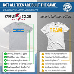UCLA Bruins Unisex NCAA Scholarship Cloud Jersey Athletic Short Sleeve Performance Tee - Gray Heather