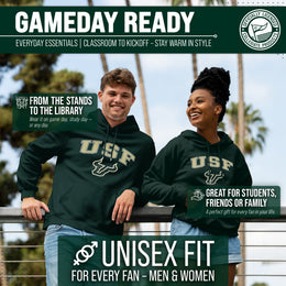 USF Bulls Arch & Logo Gameday Hoodie - Green