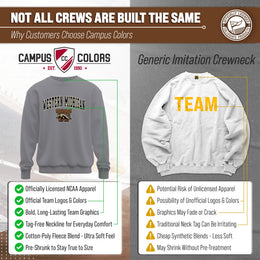 Western Michigan Broncos Adult Arch & Logo Soft Style Gameday Crewneck Sweatshirt - Gray